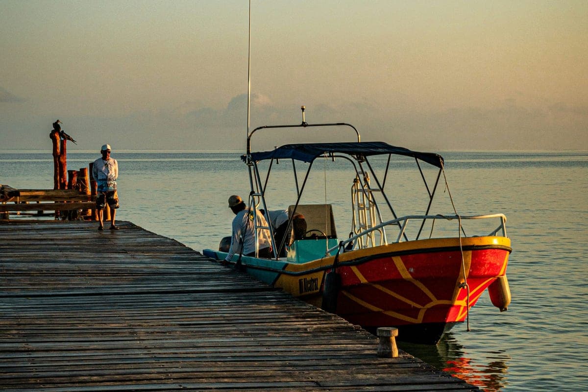 Barcas en el muelle de la Bahía de Santa Cruz al amanecer